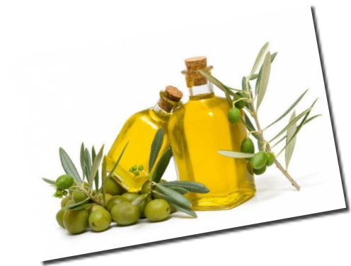 L'Olio d'Oliva